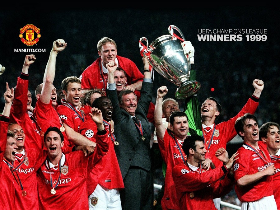 美食文化的 美食文化的